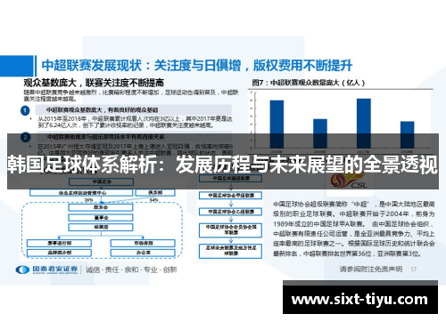 韩国足球体系解析：发展历程与未来展望的全景透视